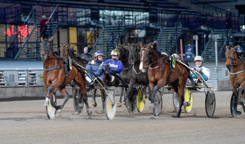 Decision Maker var en av flera skrällar när Margaretas Tidiga Unghästserie kördes på Solvalla. Foto av Lars Jakobsson/TR Bild
